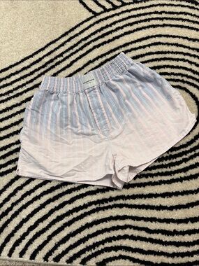 Alexander Wang Light Blue and Pale Pink Striped Women’s Shorts